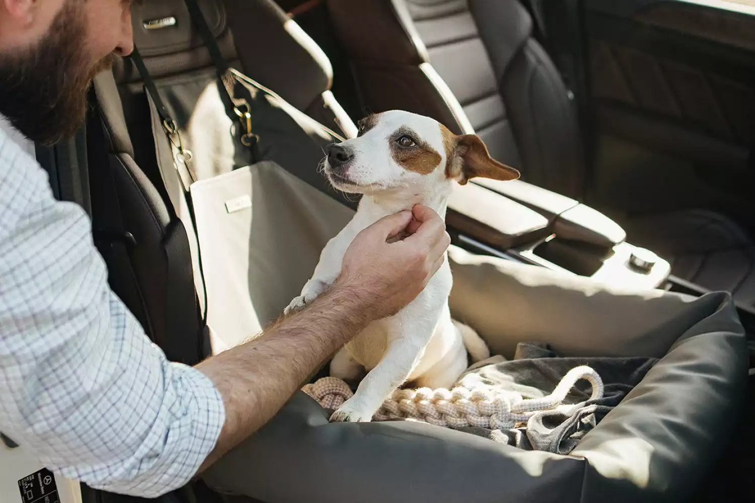 Chevrolet Tahoe Dog Car Seat for Staffordshire Bull Terriers