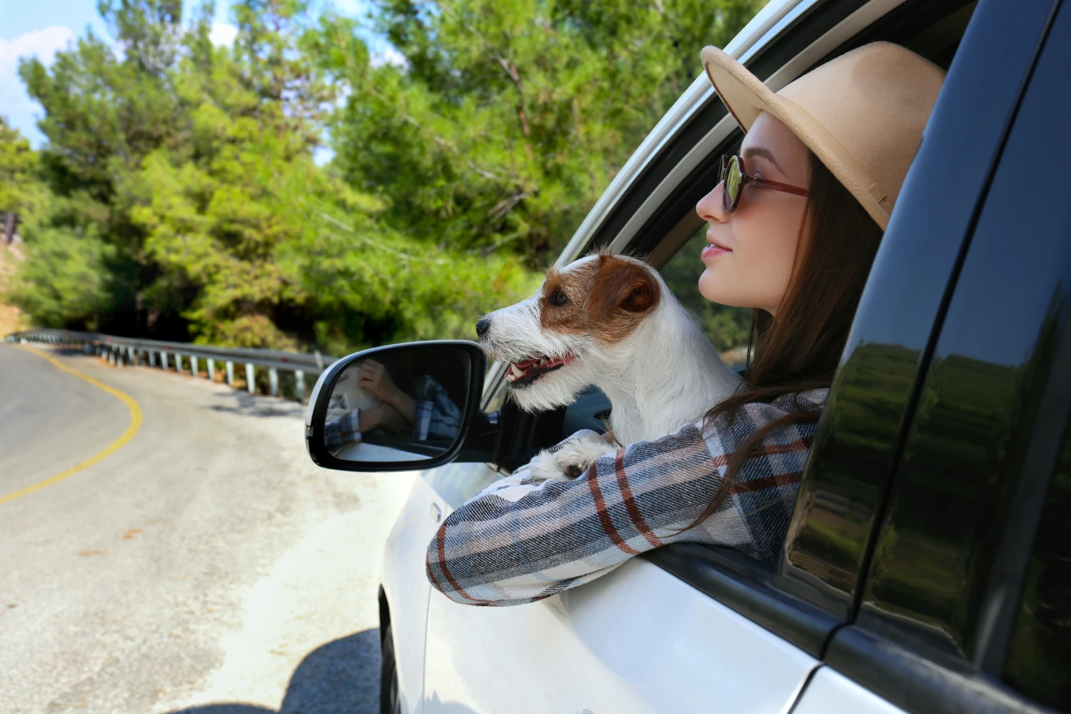 Buick Encore Dog Carrier Car Seat for Russell Terrier