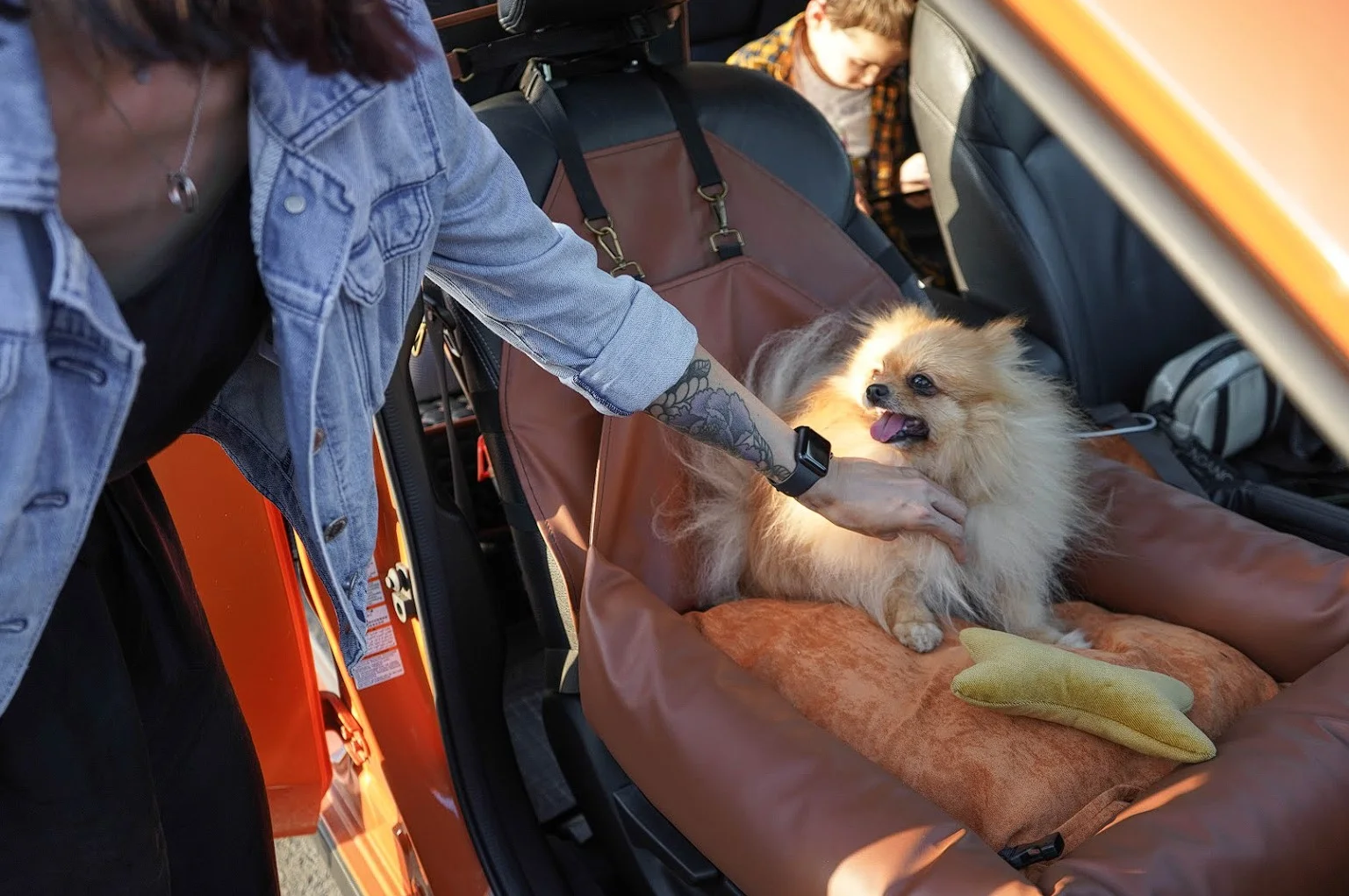 Honda Pilot Dog Car Seat for Duck Tolling Retrievers